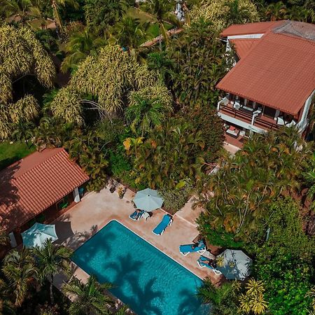 Hotel Villa Del Sol Coco Ngoại thất bức ảnh