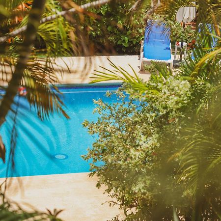 Hotel Villa Del Sol Coco Ngoại thất bức ảnh