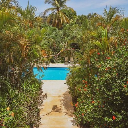 Hotel Villa Del Sol Coco Ngoại thất bức ảnh