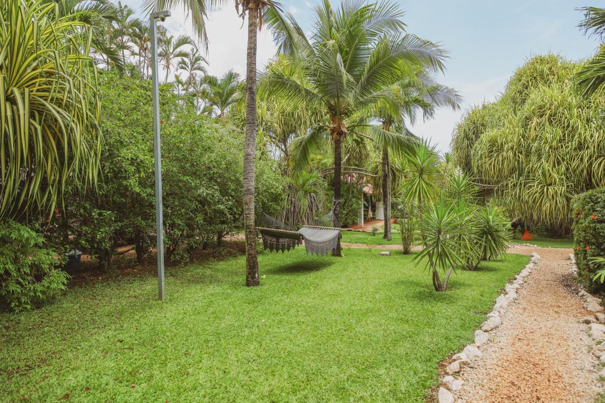 Hotel Villa Del Sol Coco Ngoại thất bức ảnh
