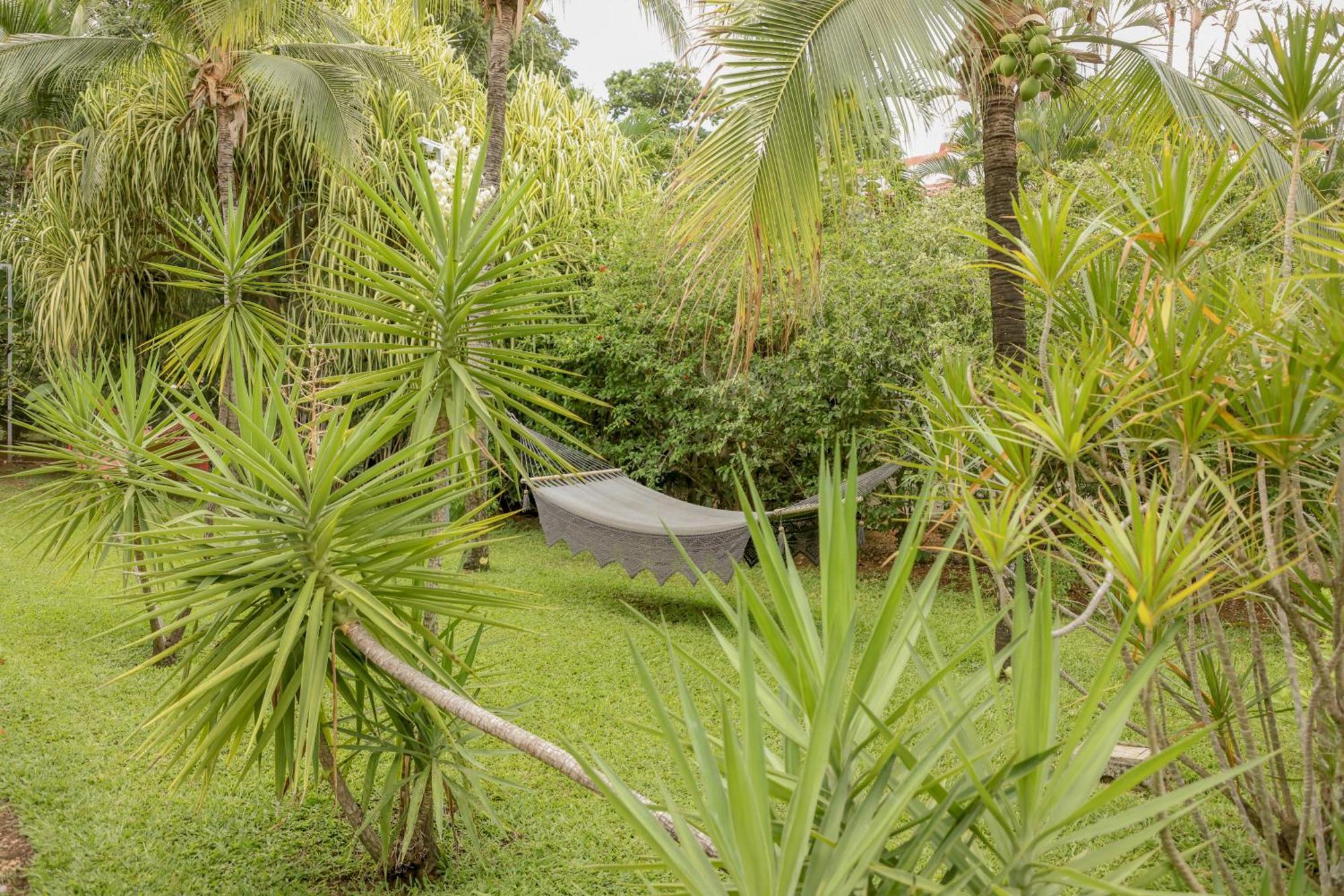 Hotel Villa Del Sol Coco Ngoại thất bức ảnh