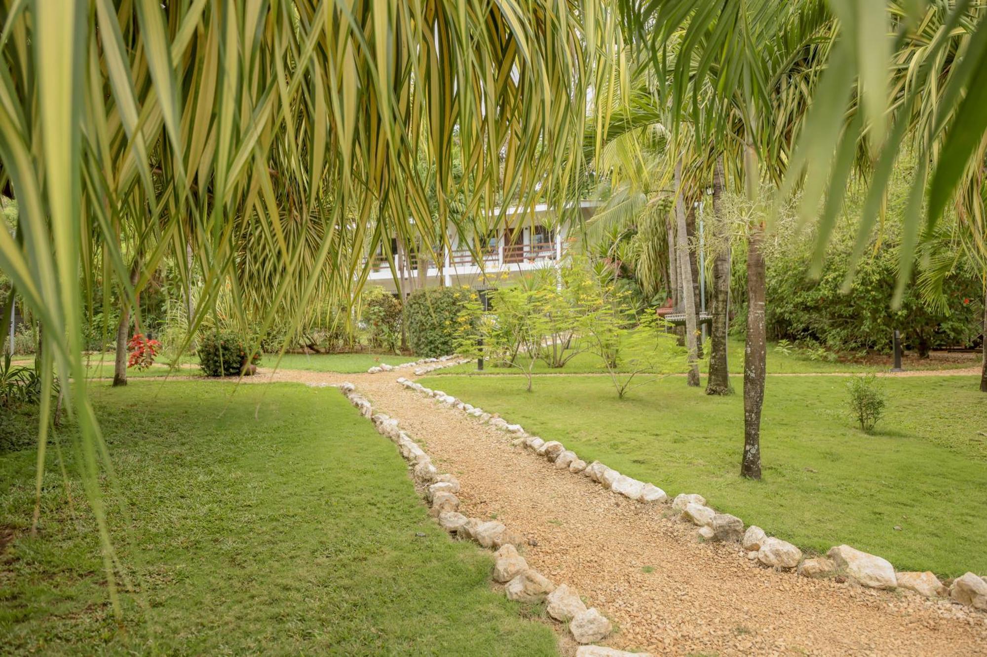Hotel Villa Del Sol Coco Ngoại thất bức ảnh
