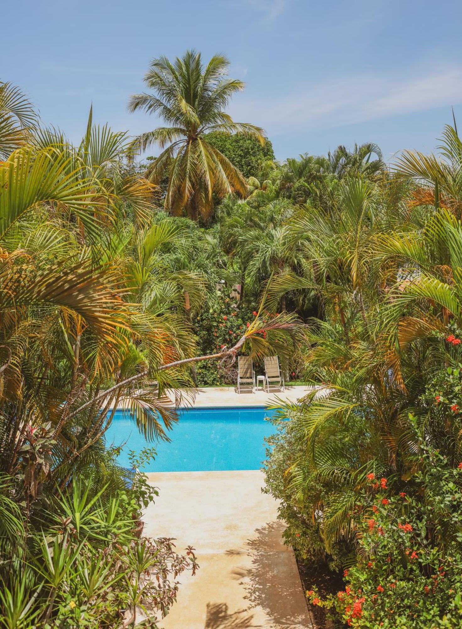Hotel Villa Del Sol Coco Ngoại thất bức ảnh