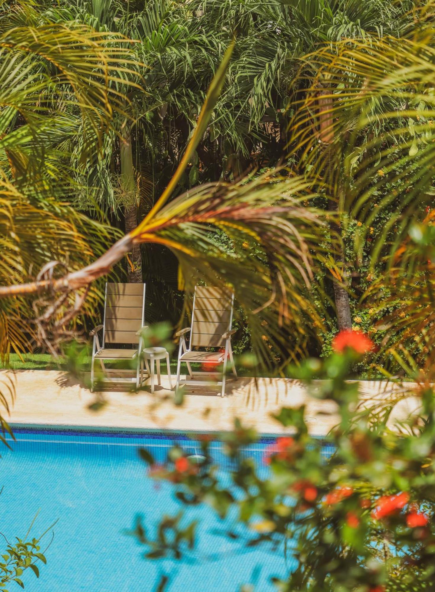 Hotel Villa Del Sol Coco Ngoại thất bức ảnh